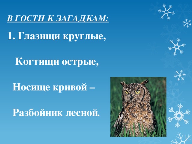 В ГОСТИ К ЗАГАДКАМ: 1. Глазищи круглые,   Когтищи острые,   Носище кривой –   Разбойник лесной .