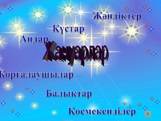 Жаңа формация мұғалімі