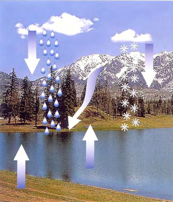 Метаморфоза воды. Превращение воды. Круговорот воды в природе. Круговорот снега в природе для детей. Превращения воды в природе.