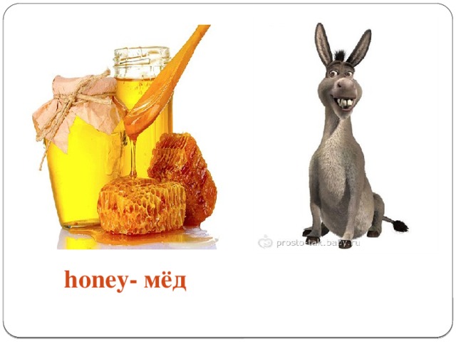 honey- мёд donkey- осёл