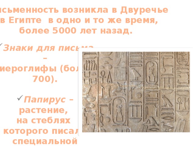 Письменность возникла в Двуречье и в Египте в одно и то же время, более 5000 лет назад. Знаки для письма –  иероглифы (более 700).  Папирус –растение,