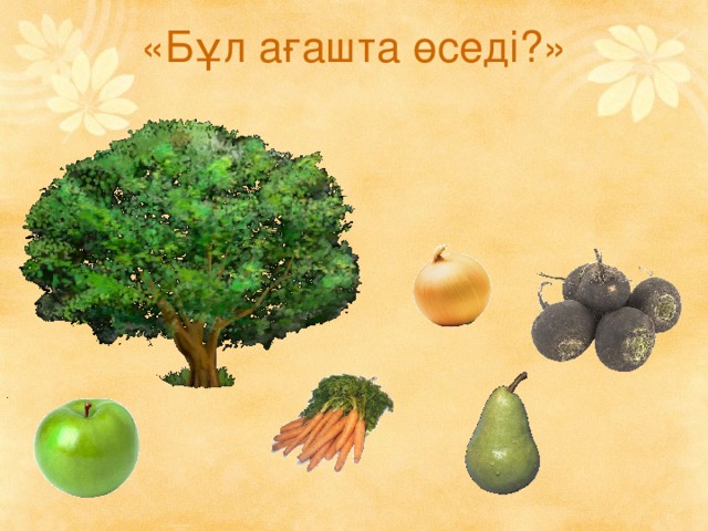 «Бұл ағашта өседі?»