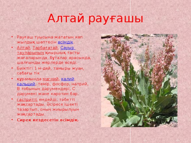 Алтай рауғашы