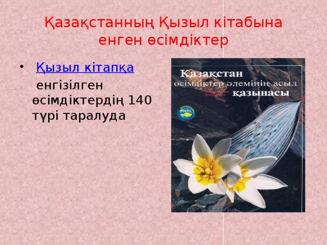 Қазақстанның Қызыл кітабына енген өсімдіктер   Қызыл кітапқа    енгізілген өсімдіктердің 140 түрі таралуда