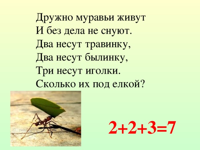 Дружно муравьи живут И без дела не снуют.  Два несут травинку, Два несут былинку, Три несут иголки. Сколько их под елкой? 2+2+3=7