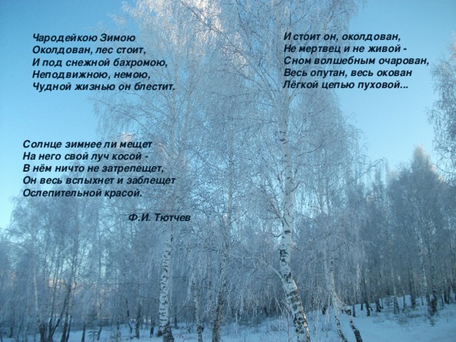 Под снежной бахромою неподвижною немою. Чародейкою зимою околдован лес стоит. Чародейкою зимой. Стих Чародейкою зимою. Стихотворение Чародейкою зимою Тютчев.