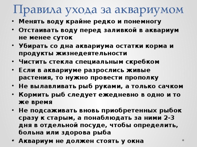 Правила ухода за аквариумом