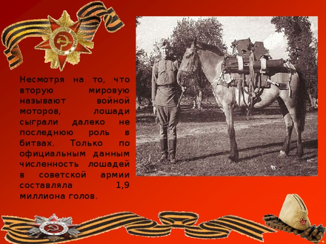 Несмотря на то, что вторую мировую называют войной моторов, лошади сыграли далеко не последнюю роль в битвах. Только по официальным данным численность лошадей в советской армии составляла 1,9 миллиона голов. 