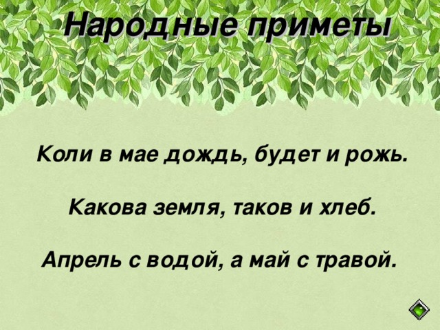 Народные приметы Коли в мае дождь, будет и рожь.  Какова земля, таков и хлеб.  Апрель с водой, а май с травой.