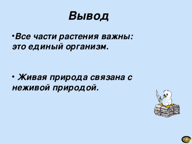 Вывод  Все части растения важны: это единый организм.