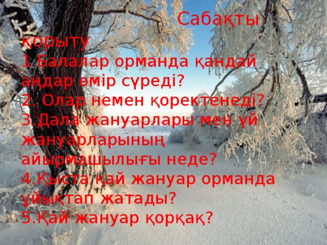 Сабақты қорыту 1 Балалар орманда қандай аңдар өмір сүреді? 2. Олар немен қоректенеді? 3.Дала жануарлары мен үй жануарларының айырмашылығы неде? 4.Қыста қай жануар орманда ұйықтап жатады? 5.Қай жануар қорқақ?