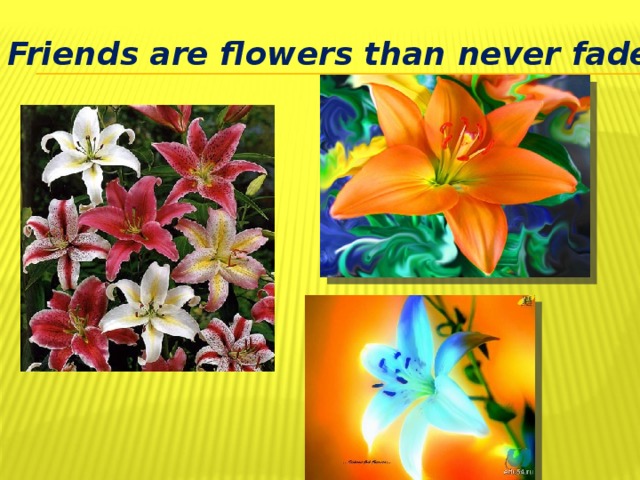Friends are flowers than never fade.