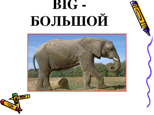 BIG - БОЛЬШОЙ