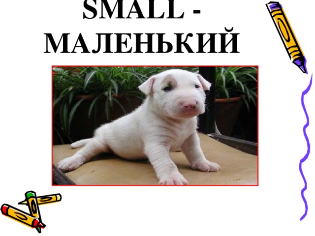 SMALL - МАЛЕНЬКИЙ