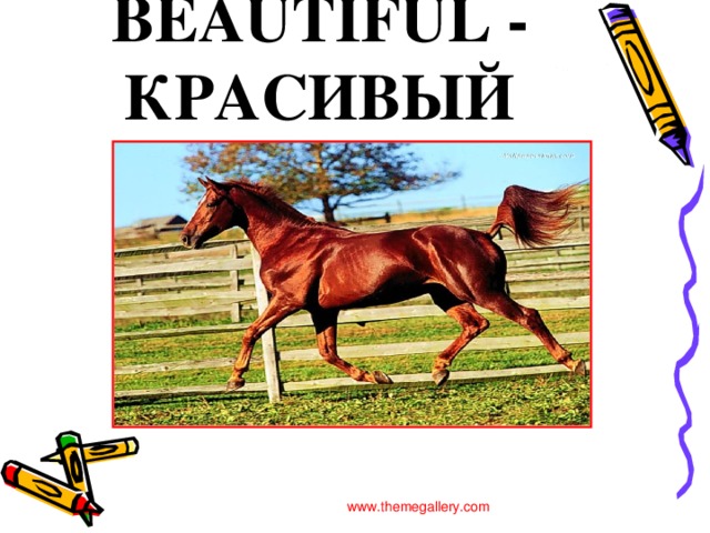 BEAUTIFUL - КРАСИВЫЙ www.themegallery.com