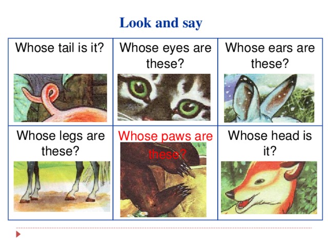 Look and say  Whose tail is it? Whose eyes are these? Whose legs are these? Whose ears are these? Whose head is it? Whose paws are  these?