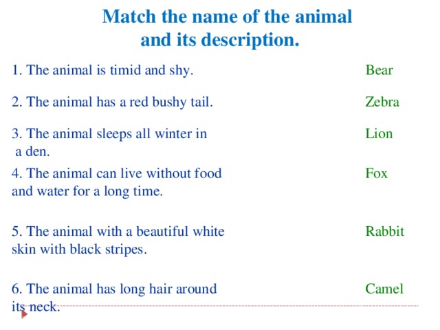 Match the name of the animal and its description.  1. The animal is timid and shy. Bear 2. The animal has a red bushy tail. Zebra 3. The animal sleeps all winter in  a den. Lion 4. The animal can live without food and water for a long time. Fox 5. The animal with a beautiful white skin with black stripes. Rabbit 6. The animal has long hair around its neck. Camel