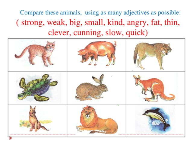 Compare these animals,  using as many adjectives as possible:  ( strong, weak, big, small, kind, angry, fat, thin, clever, cunning, slow, quick)