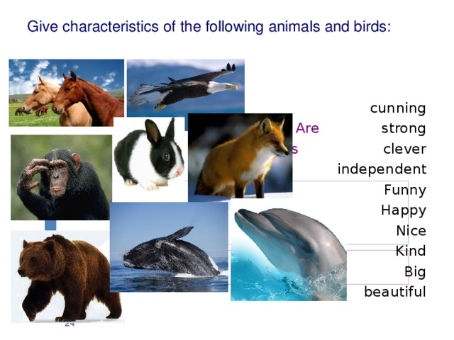 Give characteristics of the following animals and birds:     cunning Are strong Is clever  independent Funny Happy Nice Kind Big beautiful