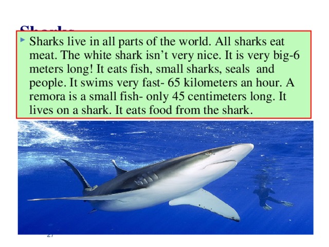 Sharks   Sharks live in all parts of the world. All sharks eat meat. The white shark isn’t very nice. It is very big-6 meters long! It eats fish, small sharks, seals and people. It swims very fast- 65 kilometers an hour. A remora is a small fish- only 45 centimeters long. It lives on a shark. It eats food from the shark .