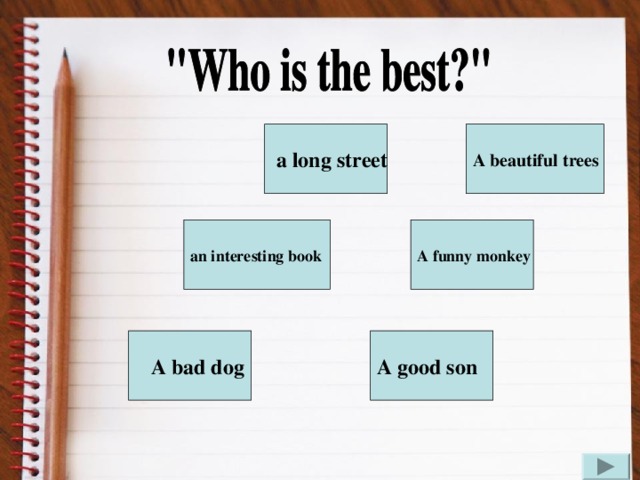 a long street A beautiful trees A funny monkey an interesting book A good son  A bad dog