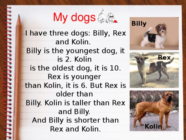 My dogs Billy I have three dogs: Billy, Rex and Kolin. Billy is the youngest dog, it is 2. Kolin is the oldest dog, it is 10. Rex is younger than Kolin, it is 6. But Rex is older than Billy. Kolin is taller than Rex and Billy. And Billy is shorter than Rex and Kolin. Rex Kolin