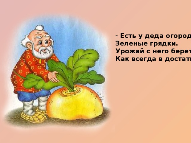 - Есть у деда огород, Зеленые грядки. Урожай с него берет, Как всегда в достатке.