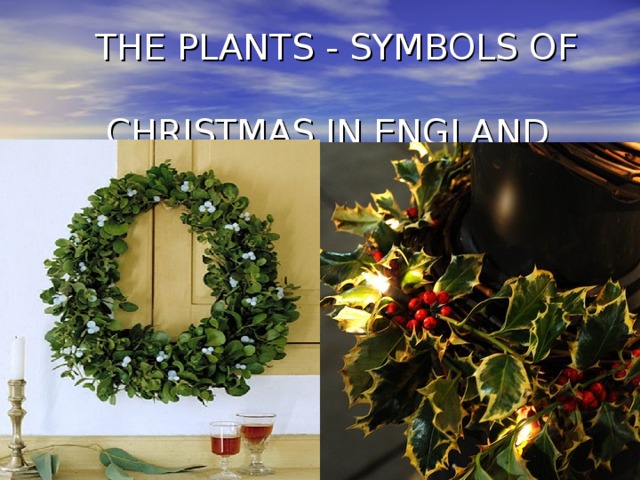 THE PLANTS - SYMBOLS OF  CHRISTMAS IN ENGLAND