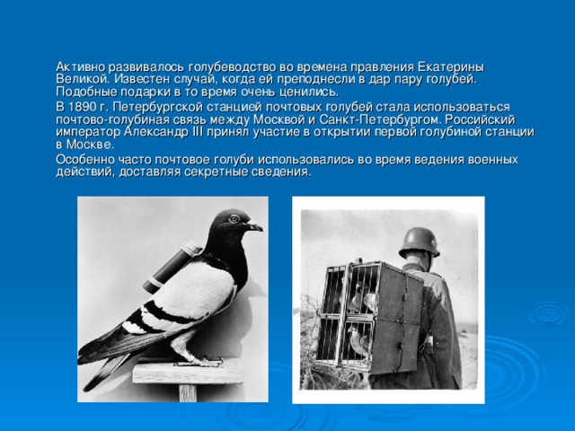 Активно развивалось голубеводство во времена правления Екатерины Великой. Известен случай, когда ей преподнесли в дар пару голубей. Подобные подарки в то время очень ценились.  В 1890 г. Петербургской станцией почтовых голубей стала использоваться почтово-голубиная связь между Москвой и Санкт-Петербургом. Российский император Александр III принял участие в открытии первой голубиной станции в Москве.  Особенно часто почтовое голуби использовались во время ведения военных действий, доставляя секретные сведения.