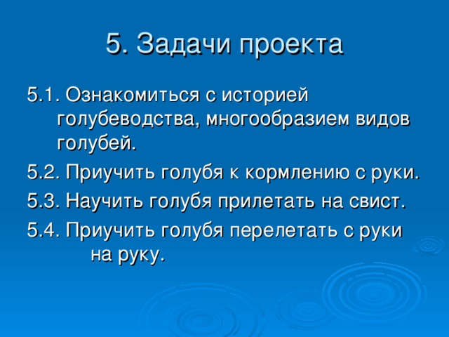 5. Задачи проекта 5.1. Ознакомиться с историей голубеводства, многообразием видов голубей. 5.2. Приучить голубя к кормлению с руки. 5.3. Научить голубя прилетать на свист. 5.4. Приучить голубя перелетать с руки на руку.