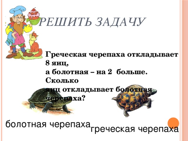 Решить задачу Греческая черепаха откладывает 8 яиц, а болотная – на 2 больше. Сколько яиц откладывает болотная черепаха?  болотная черепаха греческая черепаха