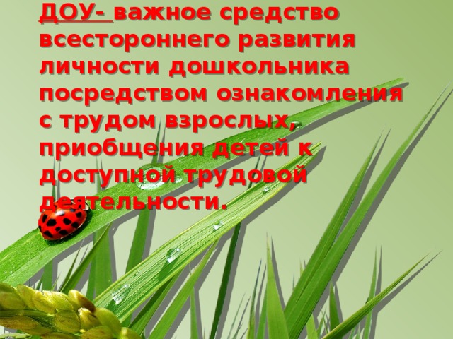 Трудовое воспитание в ДОУ- важное средство всестороннего развития личности дошкольника посредством ознакомления с трудом взрослых, приобщения детей к доступной трудовой деятельности.