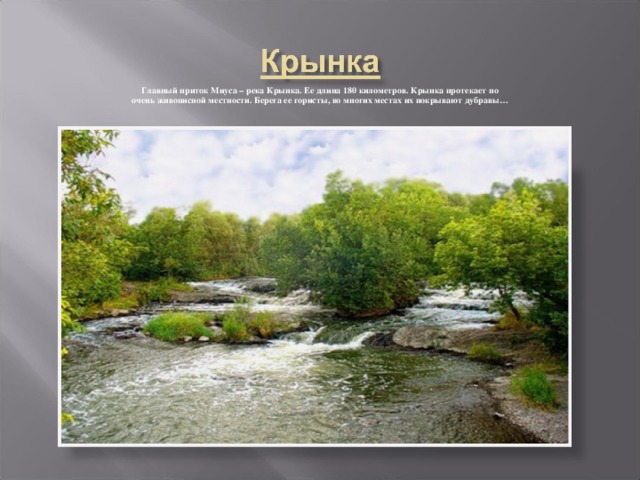 Главный приток Миуса – река Крынка. Ее длина 180 километров. Крынка протекает по очень живописной местности. Берега ее гористы, во многих местах их покрывают дубравы…