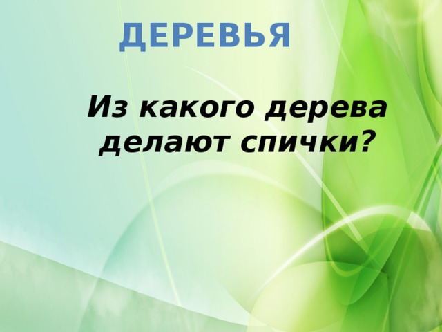 Деревья Из какого дерева делают спички?