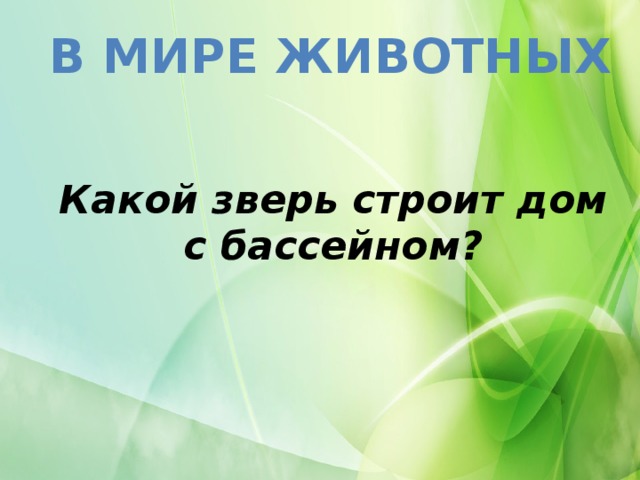 В МИРЕ ЖИВОТНЫХ Какой зверь строит дом с бассейном?