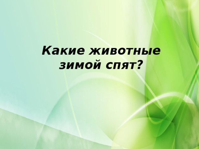 Какие животные зимой спят?