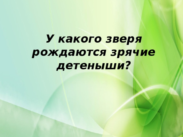 У какого зверя рождаются зрячие детеныши?