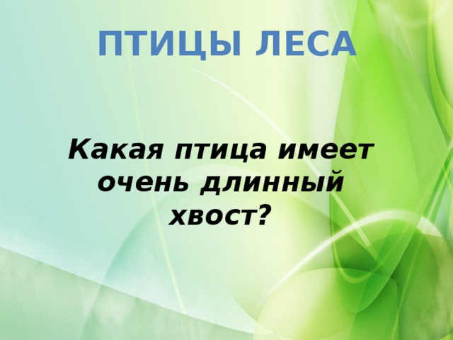 ПТИЦЫ ЛЕСА Какая птица имеет очень длинный хвост?