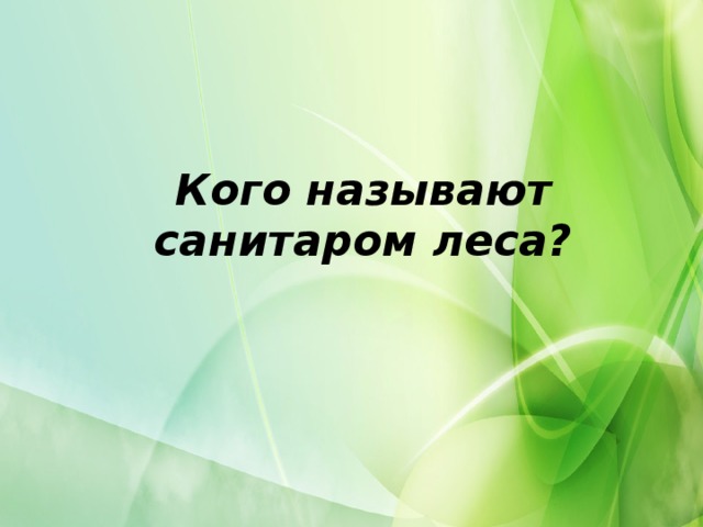 Кого называют санитаром леса?