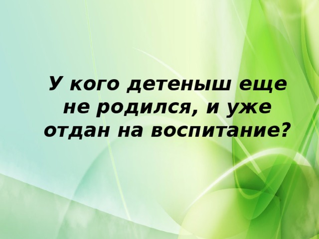 У кого детеныш еще не родился, и уже отдан на воспитание?