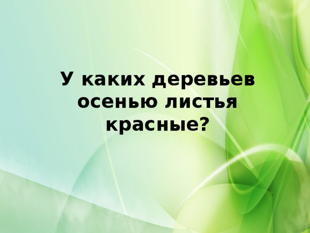 У каких деревьев осенью листья красные?