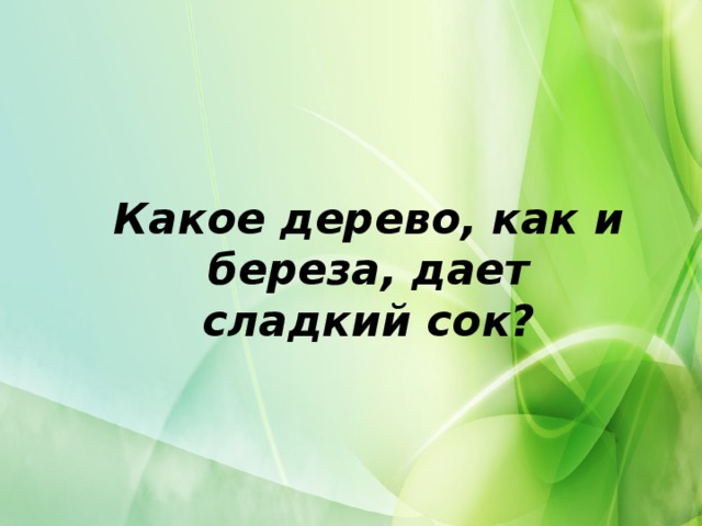 Какое дерево, как и береза, дает сладкий сок?