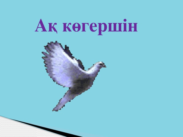 Ақ көгершін