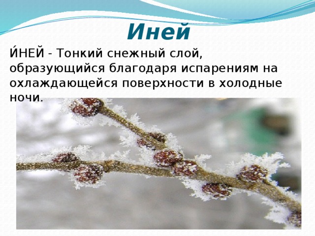 Иней И́НЕЙ - Тонкий снежный слой, образующийся благодаря испарениям на охлаждающейся поверхности в холодные ночи.