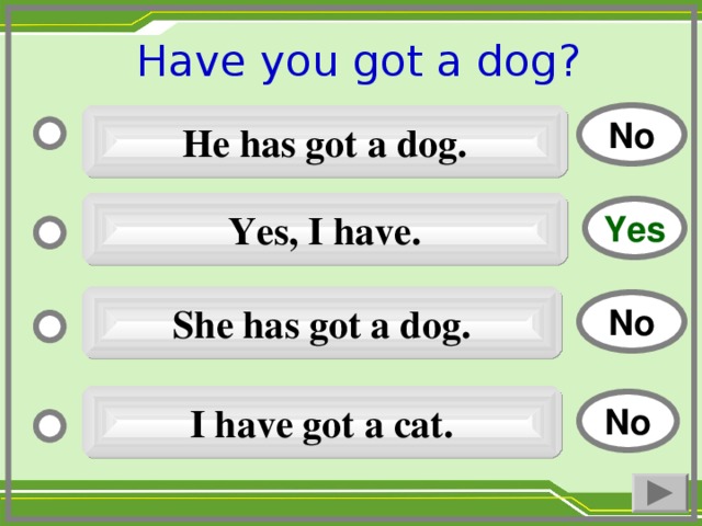 Have you got a dog ?  No He has got a dog. Yes, I have. Yes She has got a dog. No I have got a cat. No