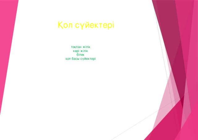 Қол сүйектері тоқпан жілік кәрі жілік білек қол басы сүйектері