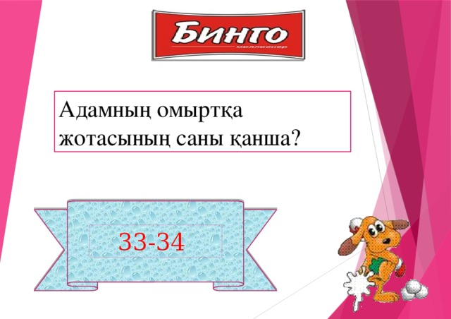 Адамның омыртқа жотасының саны қанша?  33-34