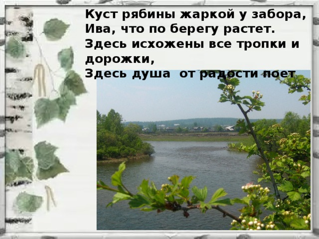 Куст рябины жаркой у забора, Ива, что по берегу растет. Здесь исхожены все тропки и дорожки, Здесь душа от радости поет