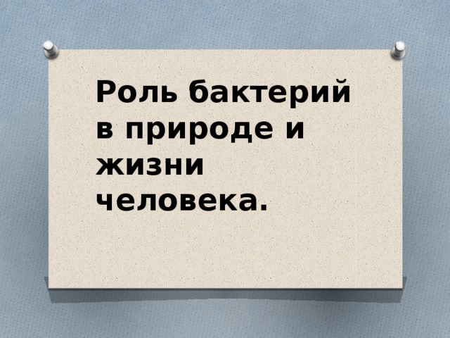 Роль бактерий в природе и жизни человека.