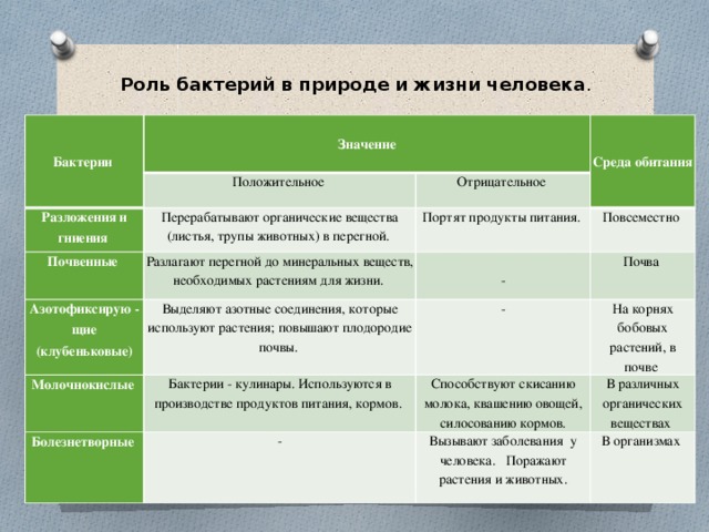 Роль бактерий в природе и жизни человека . Бактерии Значение Положительное Разложения и гниения Среда обитания Отрицательное Перерабатывают органические вещества (листья, трупы животных) в перегной. Почвенные Разлагают перегной до минеральных веществ, необходимых растениям для жизни. Портят продукты питания. Азотофиксирую - щие (клубеньковые) Повсеместно Молочнокислые Выделяют азотные соединения, которые используют растения; повышают плодородие почвы. Бактерии - кулинары. Используются в производстве продуктов питания, кормов. Почва - - Болезнетворные На корнях бобовых растений, в почве Способствуют скисанию молока, квашению овощей, силосованию кормов. - В различных органических веществах Вызывают заболевания у человека. Поражают растения и животных. В организмах